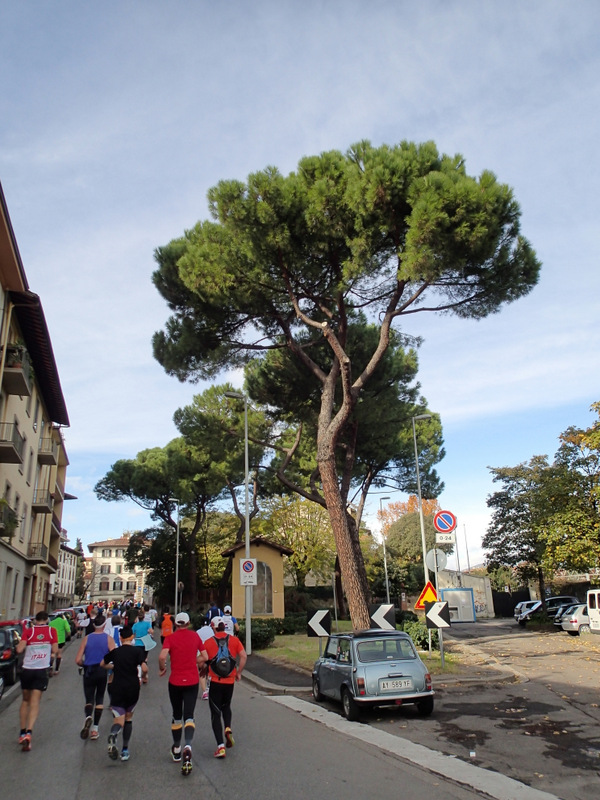 Firenze Marathon - Tor Rnnow