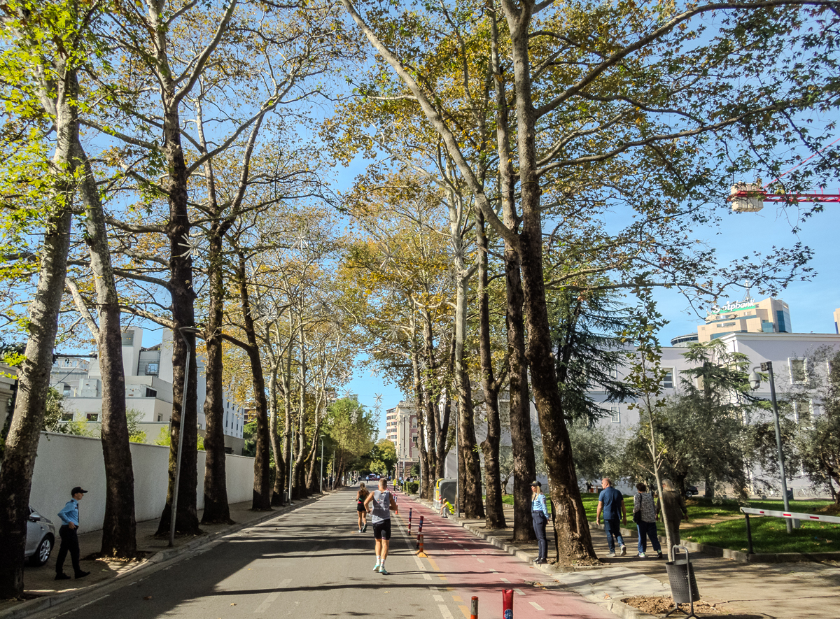 Tirana Marathon 2024 - Tor Rnnow