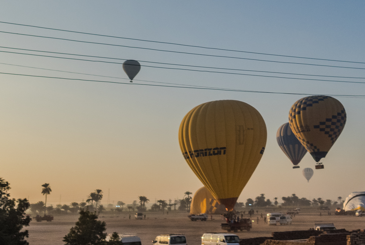 Egyptian Marathon 2025 - Tor Rnnow