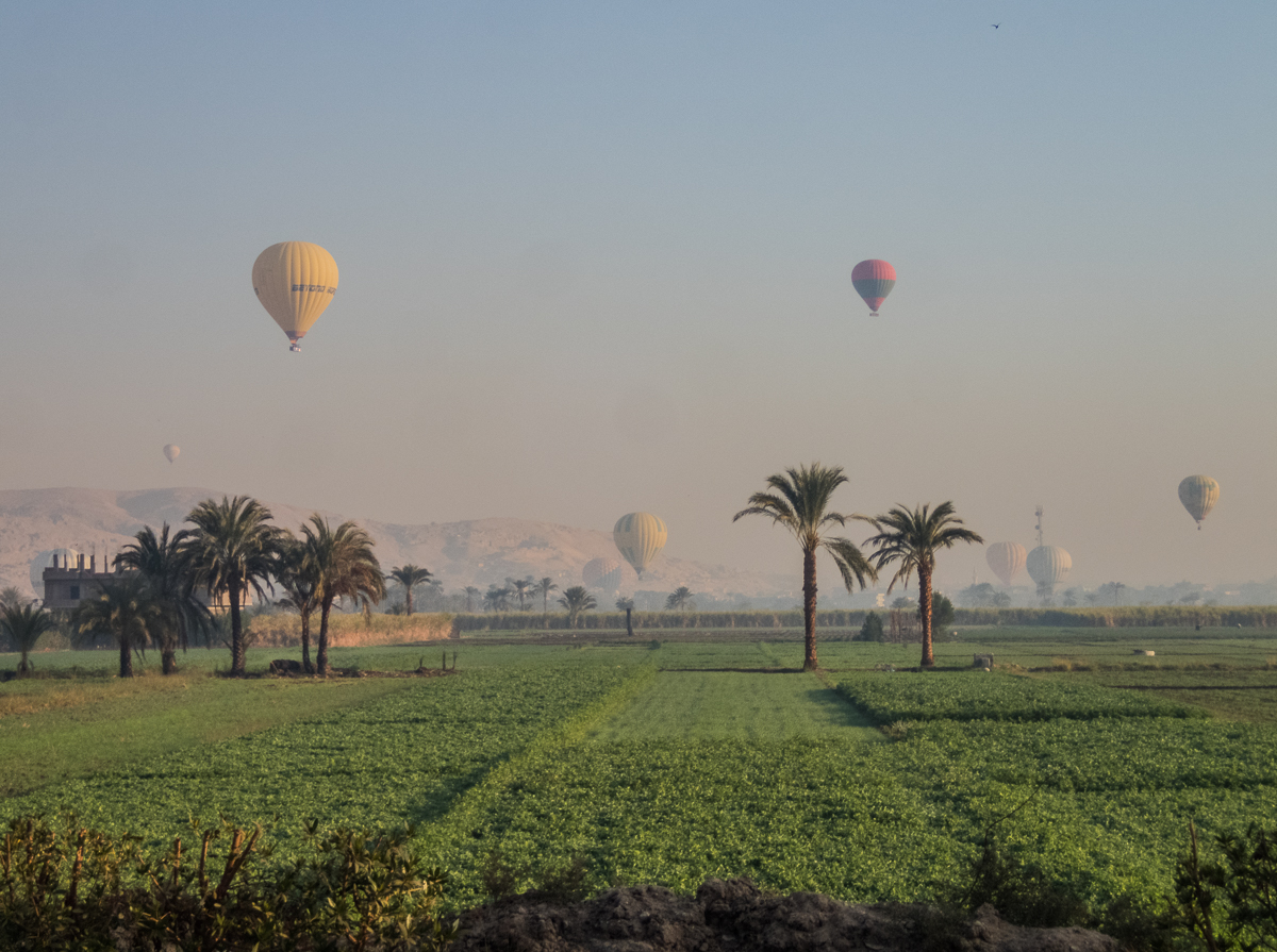 Egyptian Marathon 2025 - Tor Rnnow